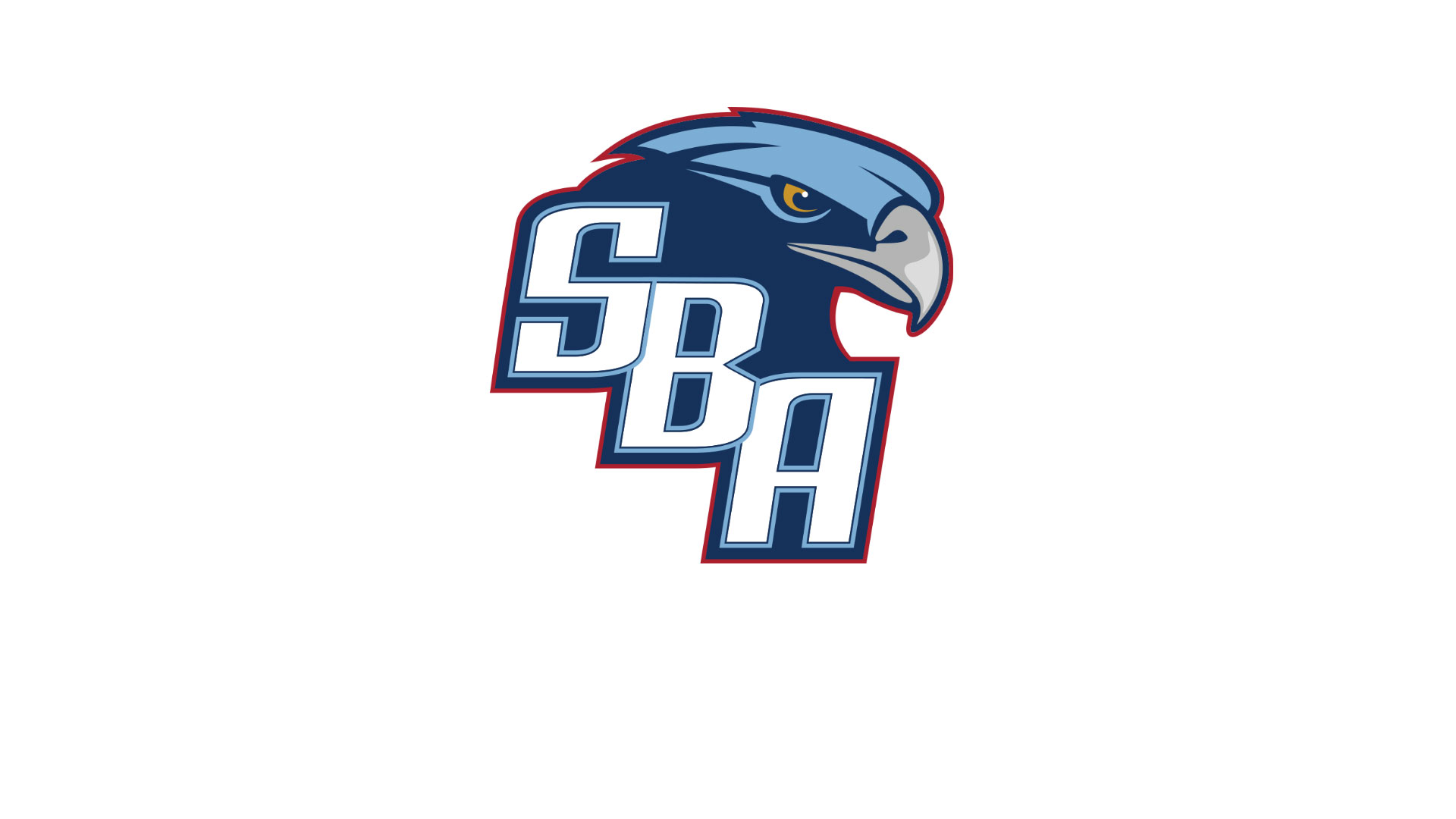 SBA Swimmers Shine at County Meet